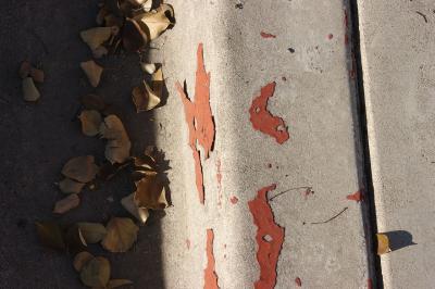 Sidewalk Leaves