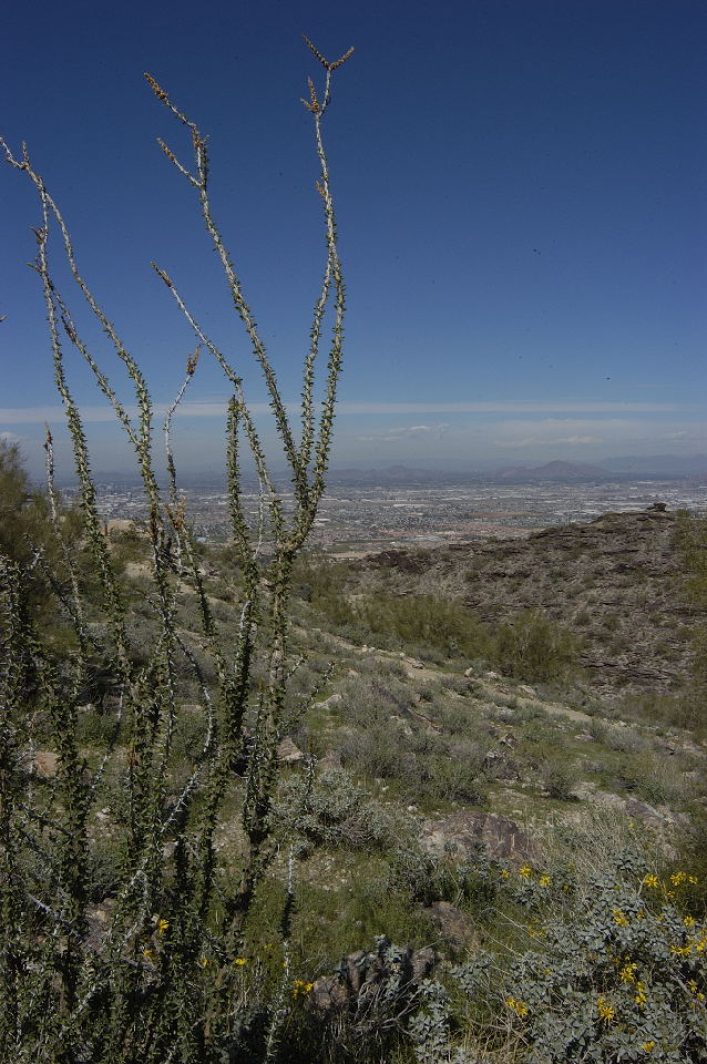 Over looking Phoenix