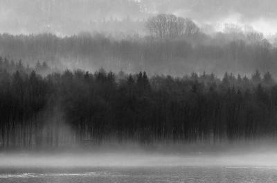 Spring Fog #3