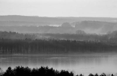 Spring Fog #1