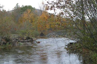 Loyalsock Creek, PA-002.jpg