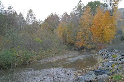 Loyalsock Creek, PA-003.jpg