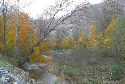 Loyalsock Creek, PA-004.jpg