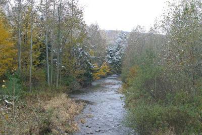 Loyalsock Creek, PA-005.jpg