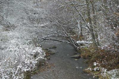 Loyalsock Creek, PA-008.jpg