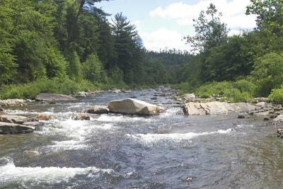 Loyalsock Creek, PA-011.jpg