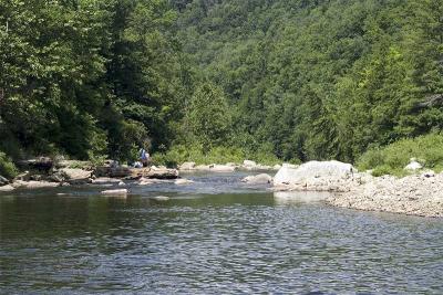Loyalsock Creek, PA-012.jpg