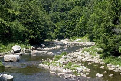 Loyalsock Creek, PA-013.jpg