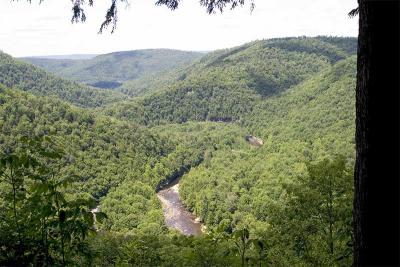 Loyalsock Creek, PA-014.jpg