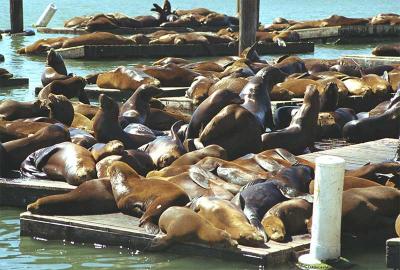 Fishermans Wharf-08.jpg