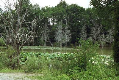 Ceasers Creek-3.jpg