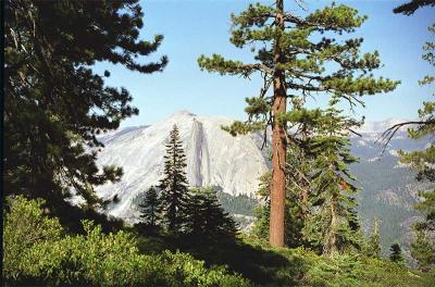 Half Dome-2.jpg