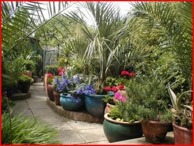 Garden3.jpg