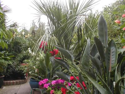 Bobs jungle (UK)