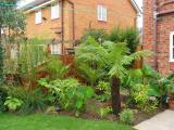 Tree Fern Border August 2003