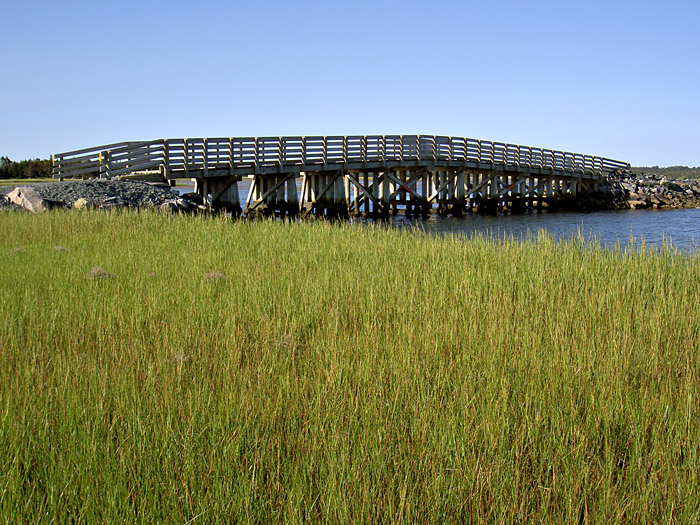 Salt Marsh.