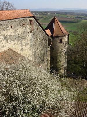 Ronneburg - castle wall and small tower