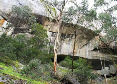 The Cave