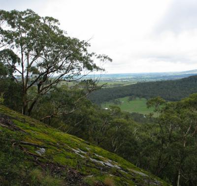View from 1st Lookout