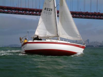 sailing in front of the bridge