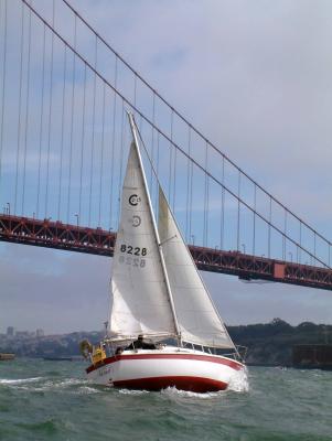 sailing in front of bridge