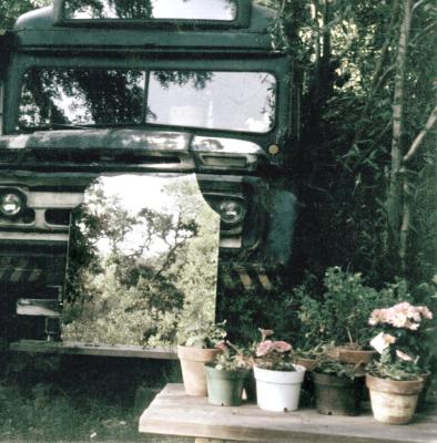 the bus
