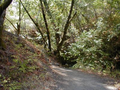 path to cascade