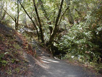 path to cascade