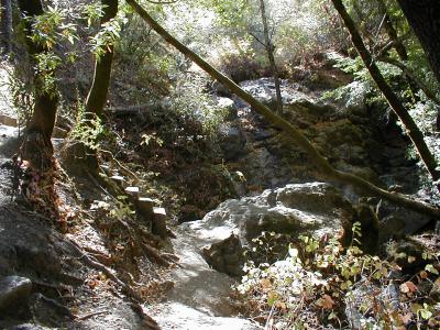 at the cascade