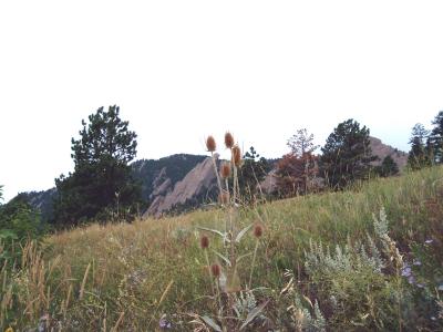 Flatirons
