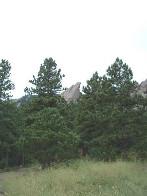 Flatirons