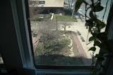 the garden from above