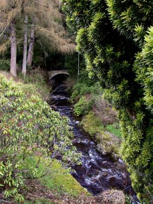 Diana's Grove on Blair Castle grounds.