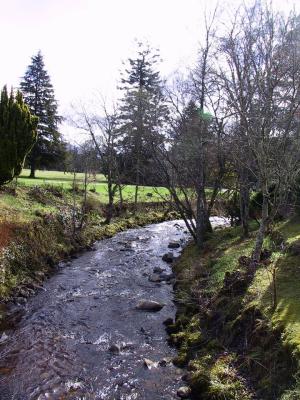 Wandering stream through Blair
