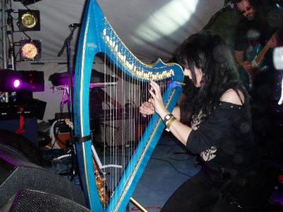 Live electric harp - a first for me