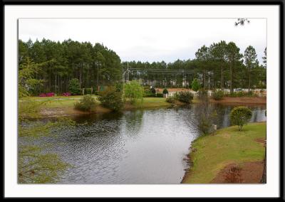 View of the road leading into the Windsor Green and Waterford Plantation area of Carolina Forest.