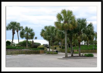 One of the public beach access areas along south Ocean Boulevard. This is the Hurl Rock park area.