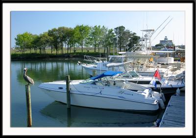Some of the boats along the docks at Murells Inlet.
