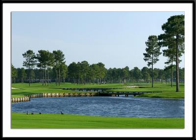 The view looking across the 7th fairway.