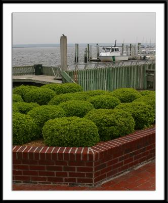 stmary_8923.jpg
