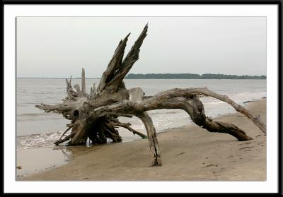 jekyll_8970.jpg