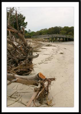 jekyll_8972.jpg