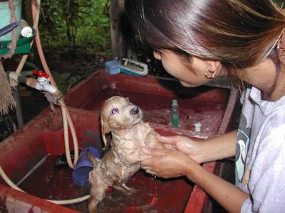 Ruffy Bath