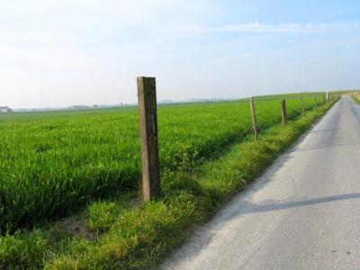 polder road.jpg