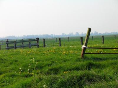 fence posts.jpg