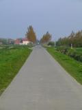 typical polder road.jpg