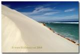 Gnaraloo Sanddune near Carnavon WA