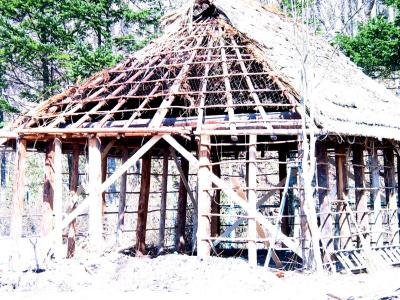 Tribal dwelling