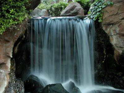 Flamingo Gardens