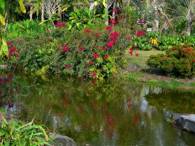 Nani Mau Garden
